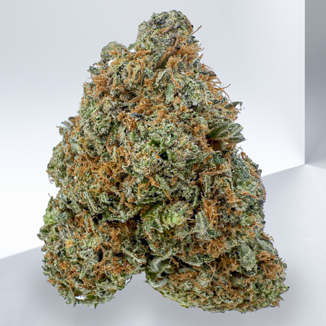 304-DEATH-STAR-BUBBA.jpg