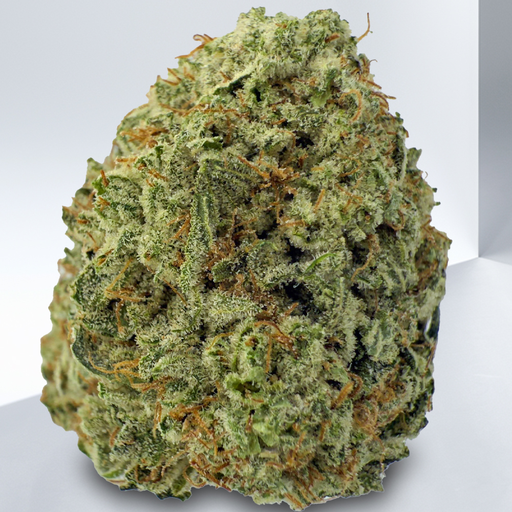 510-Jack-Herer.jpeg